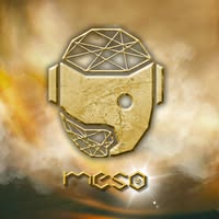Mechatronics Engineering Society (MESo) - SLU